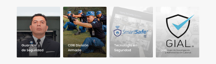 Servicios de Seguridad Privada