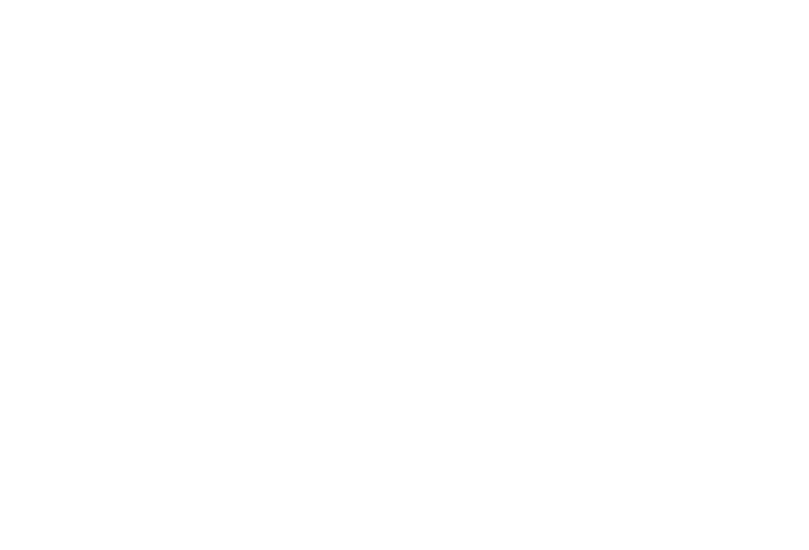 Grupo Multisistemas de Seguridad Industrial